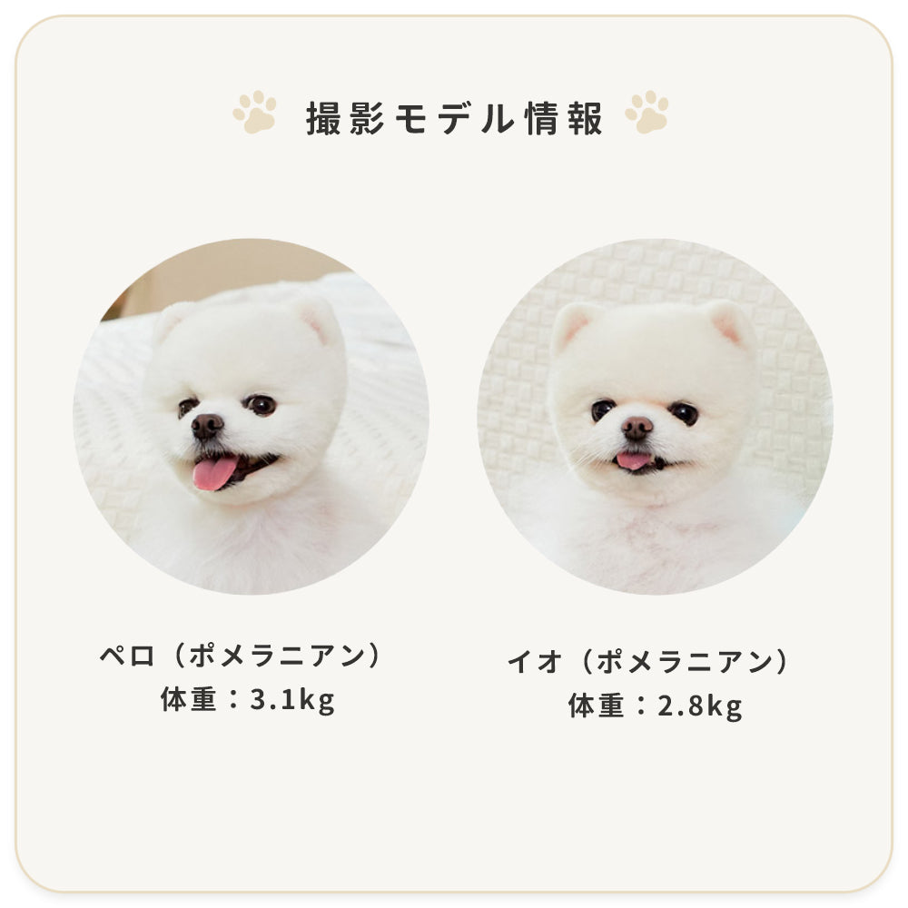 べべヌボ ペットパッド ペットベッド 小型犬