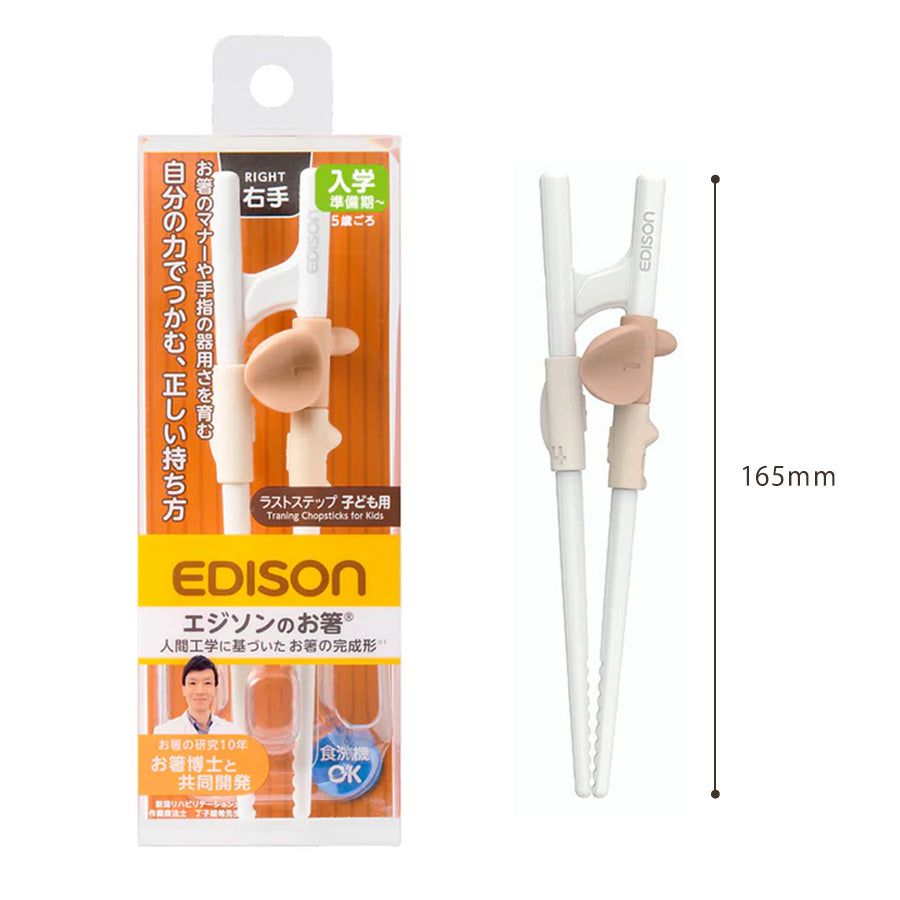 EDISON エジソンのお箸 ラストステップ 子ども用 右手 【5歳ごろ～入学前準備】