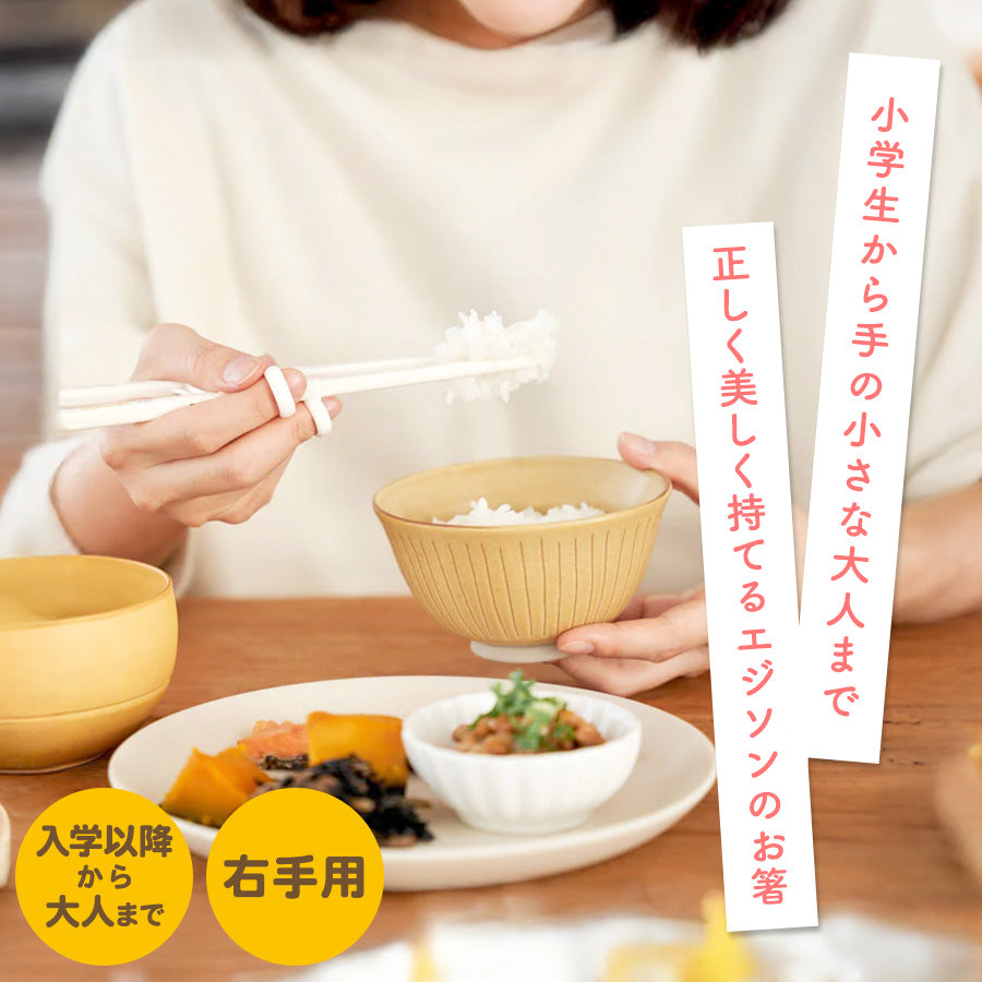 EDISON エジソンのお箸2 【入学後 ～ 手の小さい大人】 右手用 矯正箸 子ども用 大人用