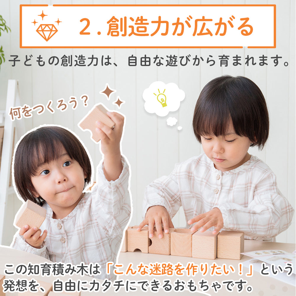Cubit キュビット 立体迷路 積み木 知育玩具 ビー玉転がし