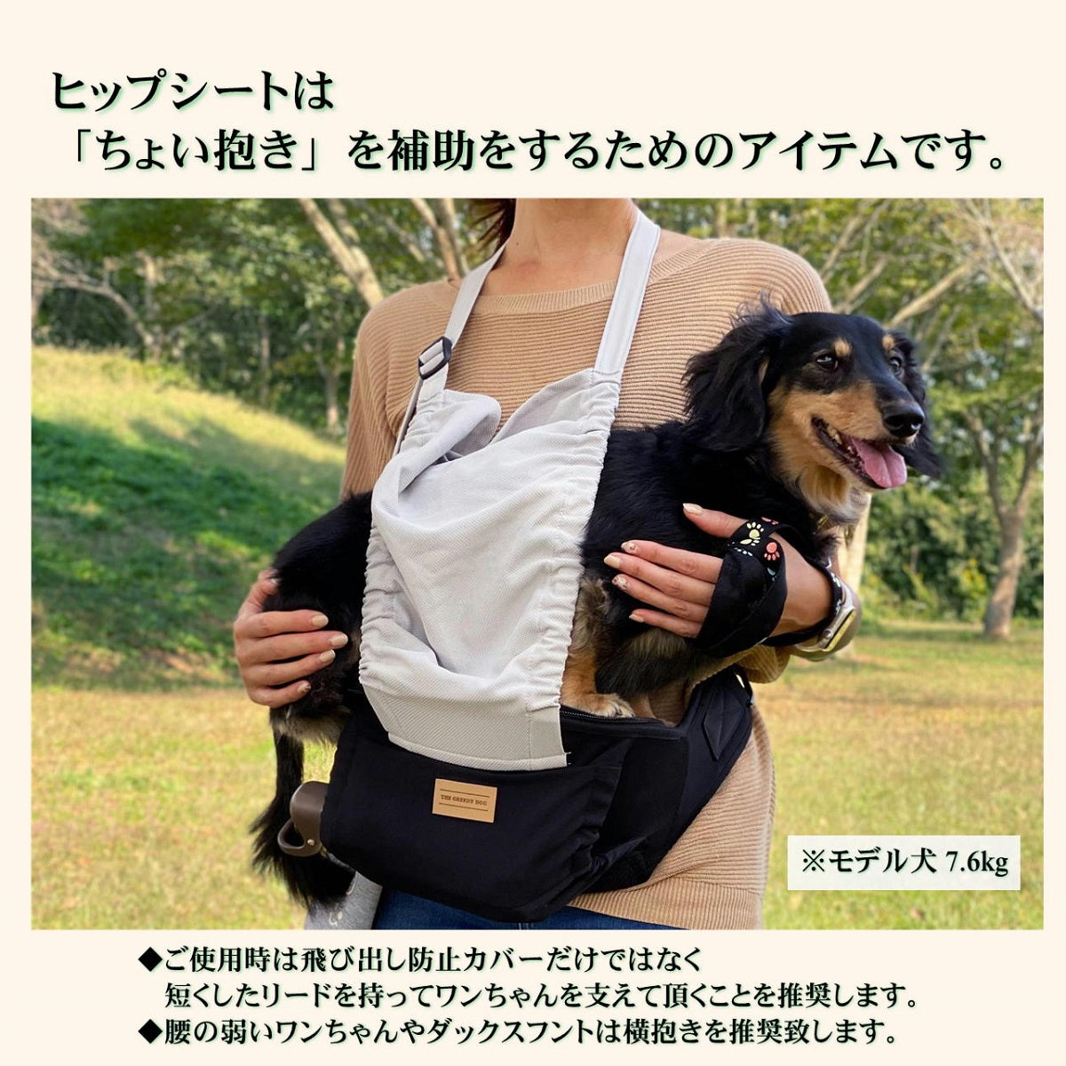 日本製 ちょい乗せ ペット用 お散歩 ヒップシート おでかけ 犬 犬用 抱っこ紐 外出 ポーチ ウエストポーチ 抱っこ 腰ベルト 小型犬 軽量 簡単 収納 コンパクト 移動 ペット用品 防災 防災用品 防災グッズ ペット 旅行 おしゃれ ペットキャリー バッグ ザ・グリーディドッグ